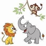 Animals